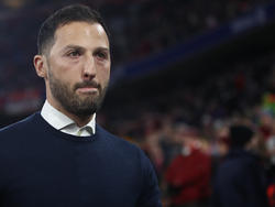 Domenico Tedesco spricht über den Zoff mit Nabil Bentaleb