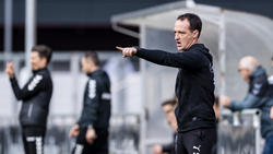 Nico Willig ist neuer Cheftrainer des VfB Stuttgart