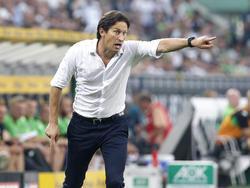 Roger Schmidt will beim bewährten System bleiben