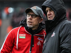 Früher gemainsam beim 1. FC Köln: Stöger (l.) und Schmadtke