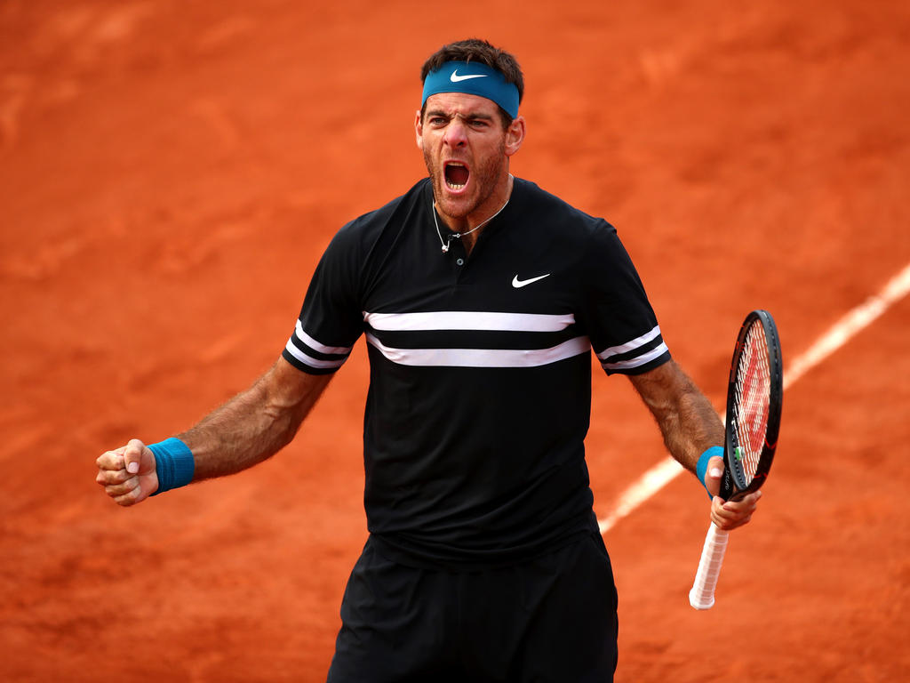 Juan Martin del Potro hat bei den French Open das Viertelfinale erreicht