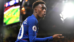 Callum Hudson-Odoi ist beim FC Bayern trotz Verletzung weiterhin ein Thema