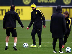 Kann Neven Subotic (Mitte) die BVB-Abwehr stabilisieren?