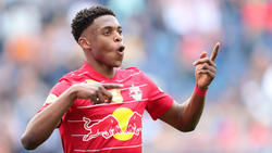 Junior Adamu soll Interesse von Hertha BSC und Eintracht Frankfurt geweckt haben