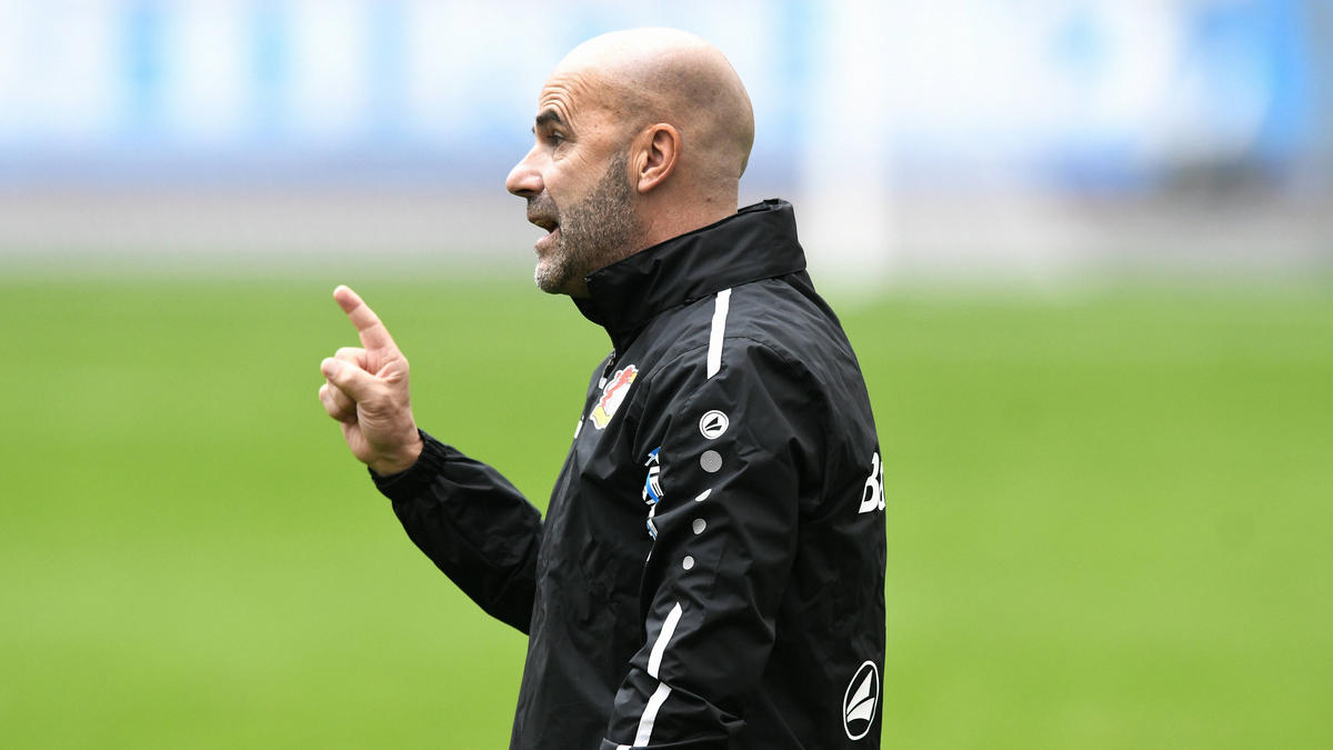 Peter Bosz wünscht sich noch weitere Verstärkung für Bayer Leverkusen Peter Bosz wünscht sich noch weitere Verstärkung für Bayer Leverkusen