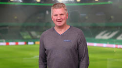 Stefan Effenberg sorgt sich um den FC Bayern