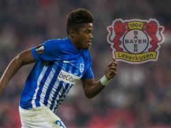Bayer Leverkusen hat es wohl auf Leon Bailey vom KRC Genk abgesehen