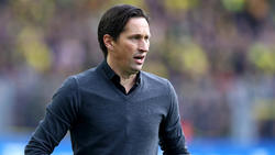 Roger Schmidt wird kein neuer Schalke-Trainer