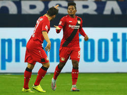 Kevin Volland und Leon Bailey glänzten im Bayer-Dress