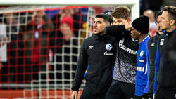 Beim FC Schalke 04 degradiert: Alexander Nübel