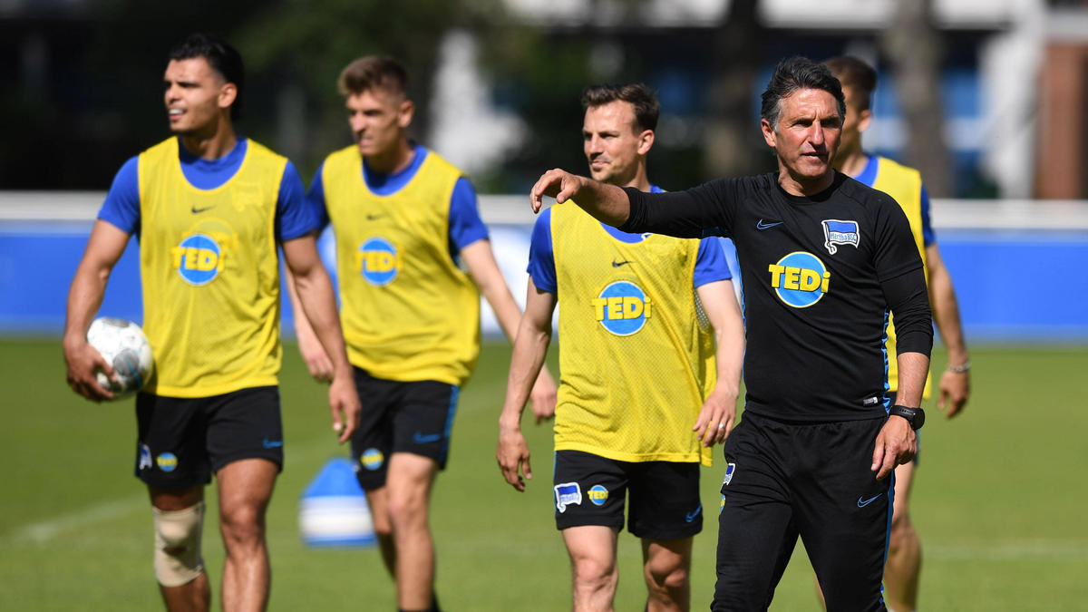 Bruno Labbadia und Hertha BSC müssen beim BVB antreten Bruno Labbadia und Hertha BSC müssen beim BVB antreten