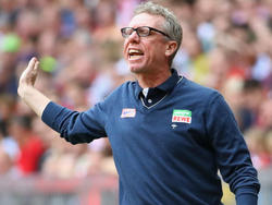 Kölns Trainer Peter Stöger ist drei Tage erkrankt ausgefallen