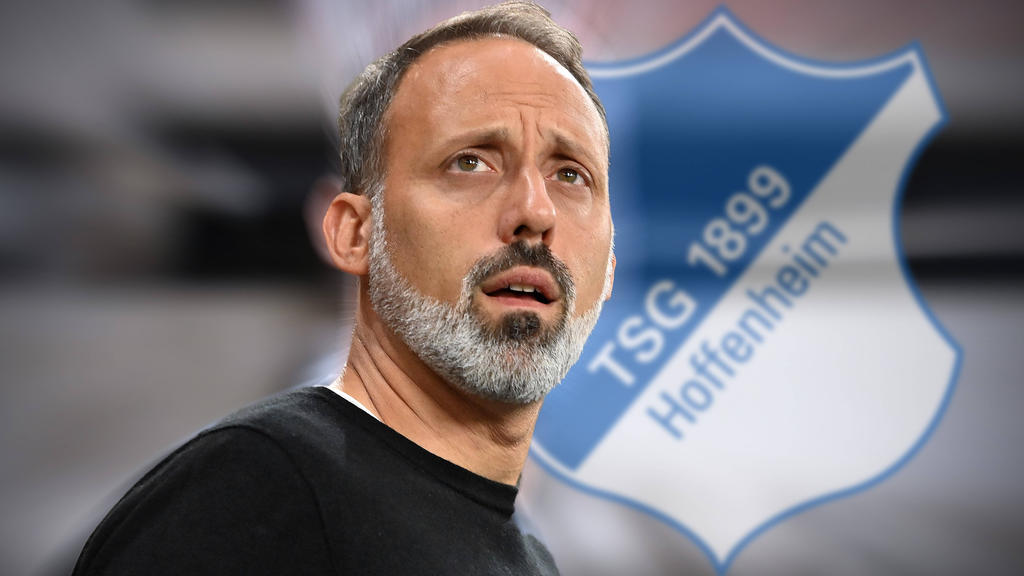 Pellegrino Matarazzo soll die TSG Hoffenheim aus dem Tabellenkeller führen