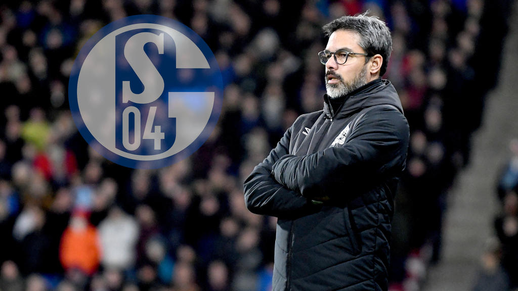 David Wagner will den FC Schalke zurück in die Erfolgsspur führen David Wagner will den FC Schalke zurück in die Erfolgsspur führen