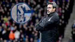 David Wagner will den FC Schalke zurück in die Erfolgsspur führen
