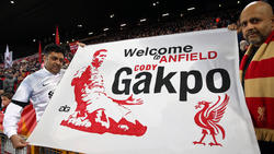 Neuzugang Gakpo steht vor seinem Liverpool-Debüt