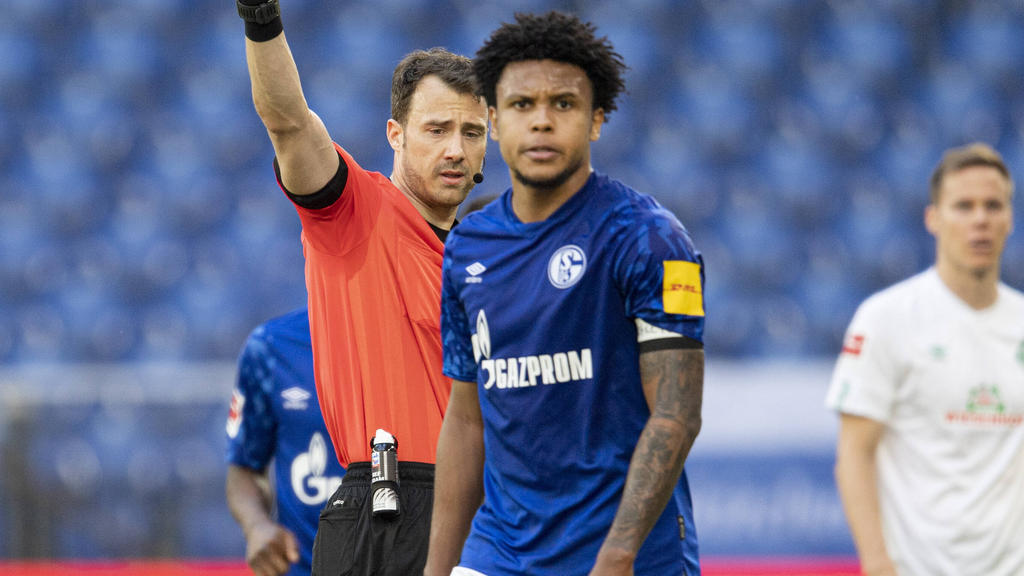 Genießt die Unterstützung beim FC Schalke 04: Weston McKennie