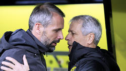 Beerbt Gladbach-Trainer Marco Rose Lucien Favre beim BVB?