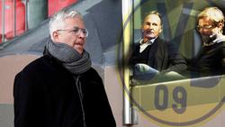 Nübel-Berater Stefan Backs hat sich zur Lage beim BVB geäußert