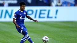 Weston McKennie verpasste beim FC Schalke 04 bislang keine Bundesliga-Minute