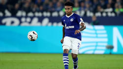 Weston McKennis ist Schalkes Mann der Stunde
