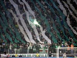 Die Fans von Palmeiras bei einem früheren Spiel im Stadion.