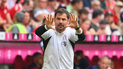 Zsolt Löw wurde im Sommer beim FC Bayern von seinen Aufgaben entbunden