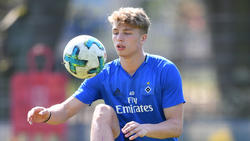 Arp einigte sich mit dem HSV