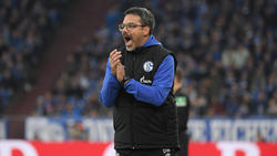 David Wagner ist seit Sommer 2019 Trainer des FC Schalke 04