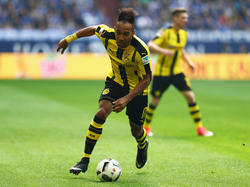 Metzelder befürchtet keinen Egotrip von Aubameyang