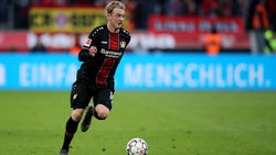 Julian Brandt zeigte zuletzt starke Leistungen für Bayer Leverkusen