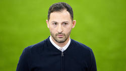 Domenico Tedesco hofft auf einen Sieg beim VfB Stuttgart