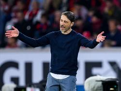 Begann seine Profikarriere 1991 bei der Hertha: Wolfsburgs Trainer Niko Kovac