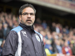 David Wagner ist ein Trainer-Kandidat beim VfL Wolfsburg