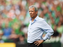 Lucien Favre soll Wunschkandidat der BVB-Bosse sein