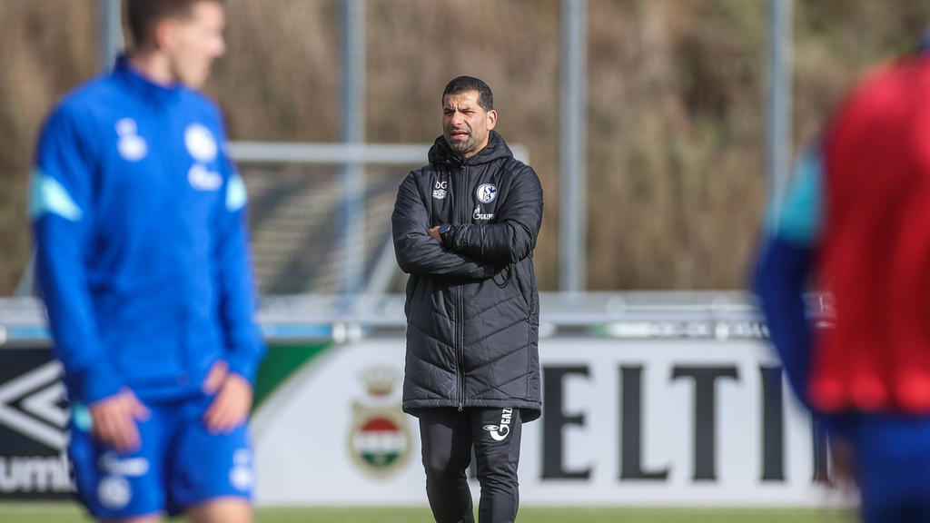 Steht beim FC Schalke 04 in der Kritik: Dimitrios Grammozis Steht beim FC Schalke 04 in der Kritik: Dimitrios Grammozis