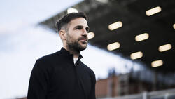 Cesc Fabregas wird wohl nicht zu RB Leipzig wechseln - trotz angeblicher Einigung