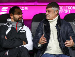 Armin Veh und Stefan Ruthenbeck sollen der 1. FC Köln aus der Krise führen