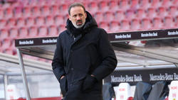 Pellegrino Matarazzo bleibt dem VfB Stuttgart erhalten