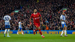 Liverpool jubelt gegen Brighton