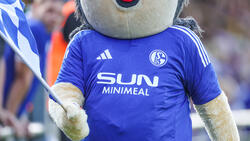 Das aktuelle Trikot des FC Schalke 04