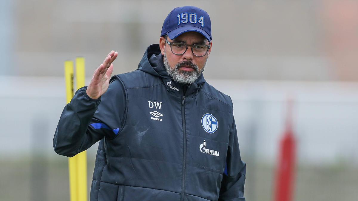 David Wagner muss mit seinen Schalkern schnell die Kurve kriegen David Wagner muss mit seinen Schalkern schnell die Kurve kriegen