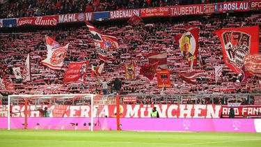 Neue Fan-Freundschaft der Anhänger des FC Bayern