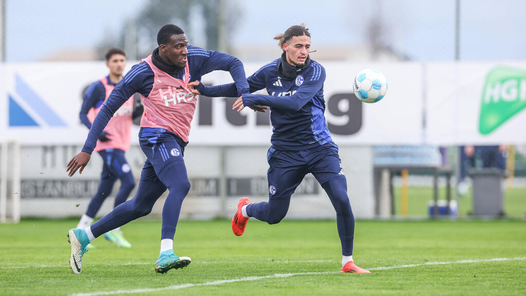 Bryan Lasme (l.) könnte den FC Schalke 04 verlassen Bryan Lasme (l.) könnte den FC Schalke 04 verlassen