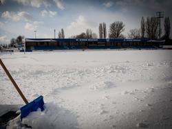 Das Stadion des SC Wiener Neustadt bekommt einen "niedlichen" Namen