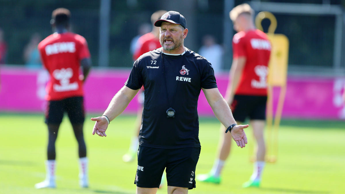 Steffen Baumgart und der 1. FC Köln reisen wohl nach Ungarn
