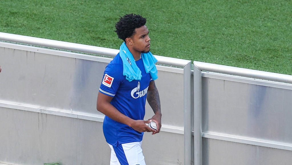 Weston McKennie vom FC Schalke 04 wechselt wohl nicht zu Hertha BSC Weston McKennie vom FC Schalke 04 wechselt wohl nicht zu Hertha BSC