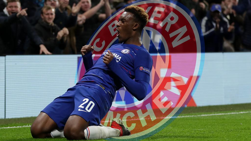 Der Wechsel von Callum Hudson-Odoi zum FC Bayern München könnte in Kürze über die Bühne gehen Der Wechsel von Callum Hudson-Odoi zum FC Bayern München könnte in Kürze über die Bühne gehen