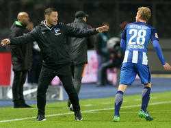 Hertha-Trainer Pál Dárdai hat gegen Augsburg als Coach noch nie verloren