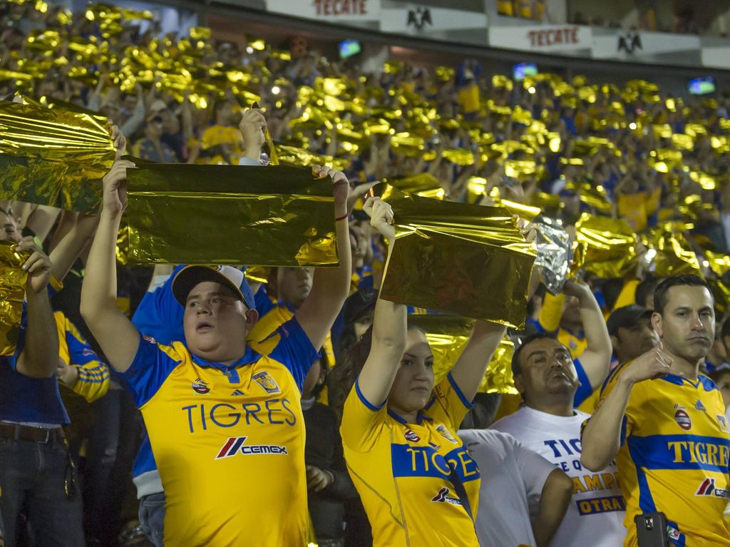 Los Tigres están muy cerca de conseguir el cuarto título de liga de su historia. (Foto: Imago)